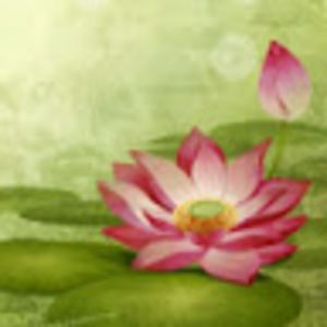 Meet your Posher, Danny